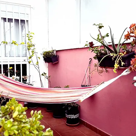 Marsella, Reina Del Tenerife Sur